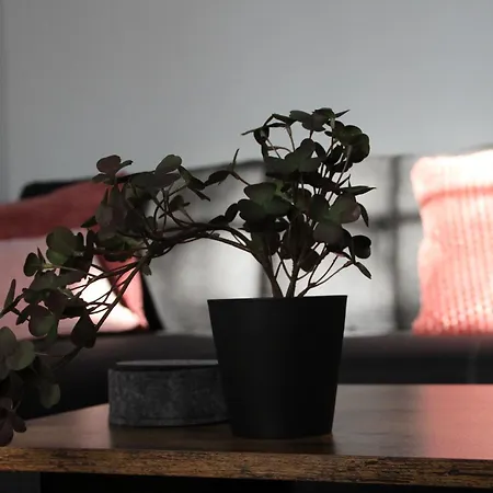 Διαμέρισμα Haus Boddenruh Glas Wiek auf Rügen